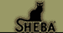 Sheba 