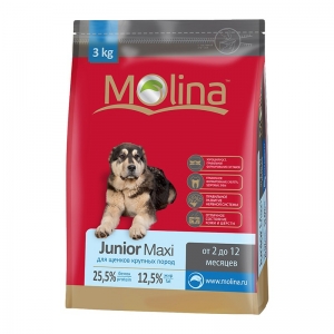 Molina Junior Maxi Корм для Щенков Крупных пород