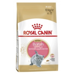 Royal Canin Kitten British Shorthair Корм для Котят Британских Короткошерстных от 4-12 месяцев