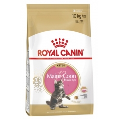 Royal Canin Kitten Maine Coon Корм для Котят породы Мейн-Кун от 3 до 15 месяцев