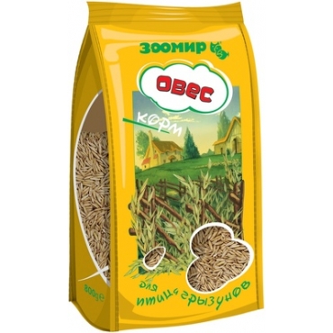 Quisque in arcu