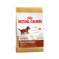 Royal Canin Dachshund Junior Корм для Щенков породы Такса в возрасте до 10 месяцев Роял Канин 1,5кг (11713)