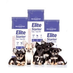 Сухой корм Flatazor Elite Starter Puppy/Puppy Mini для щенков средних и мелких пород 8кг
