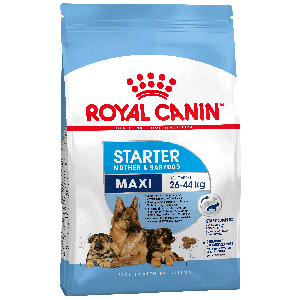 Royal Canin Maxi Starter Корм для Щенков Крупных Пород в Период отъёма до 2месяцев
