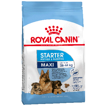 Royal Canin Maxi Starter Корм для Щенков Крупных Пород в Период отъёма до 2месяцев