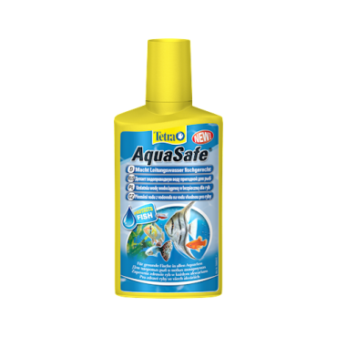 Quisque in arcu